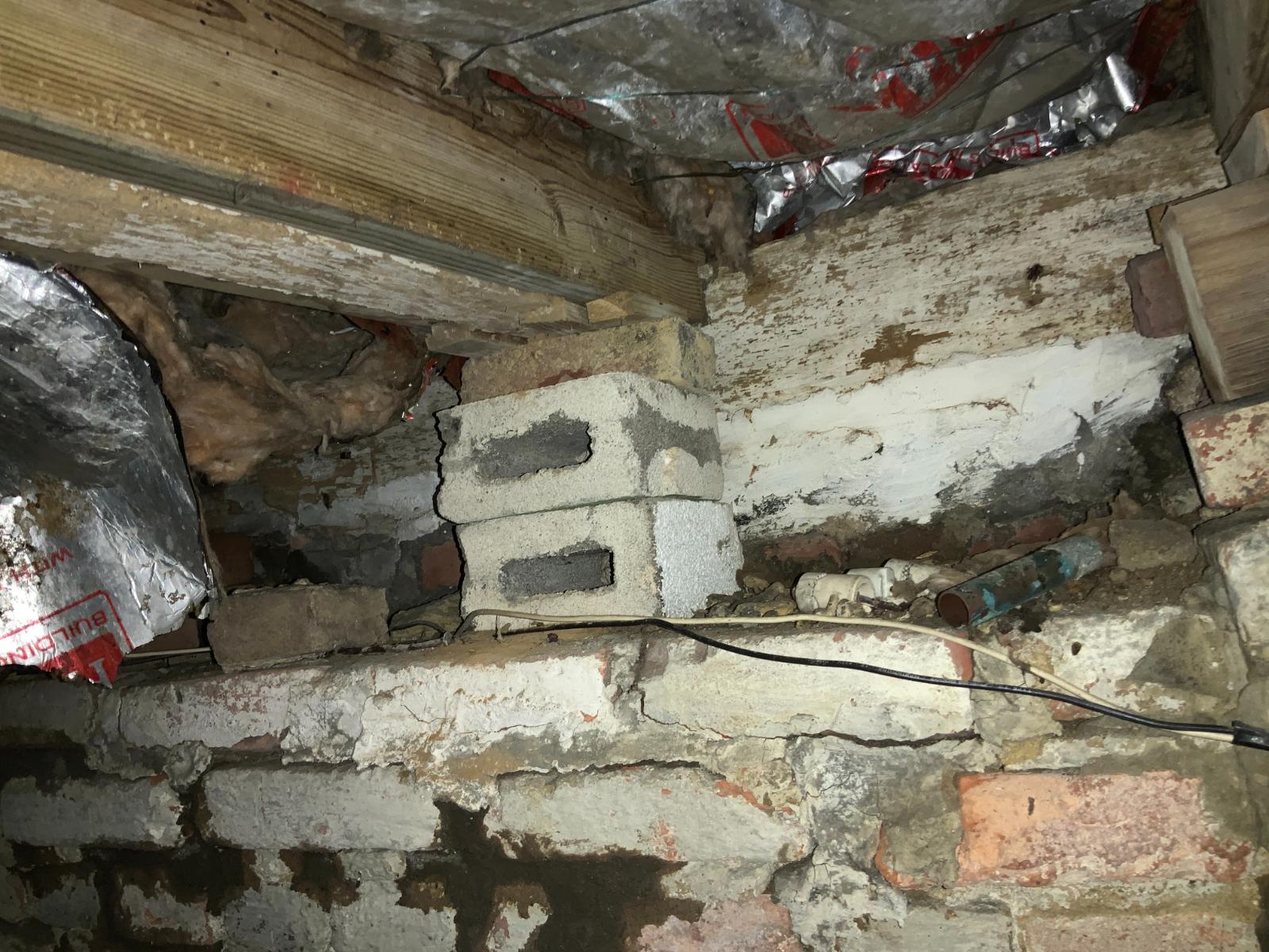 Crawlspace, Attic & Interior