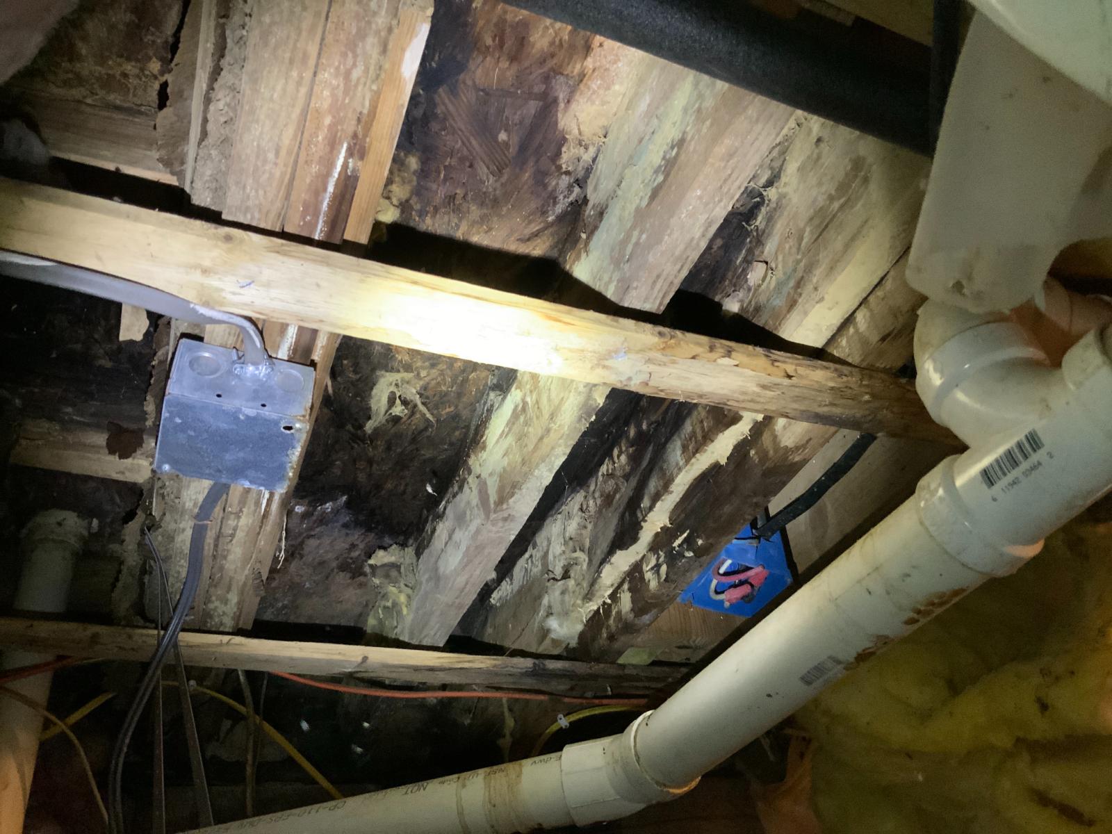 Moisture-Related Structural Concerns